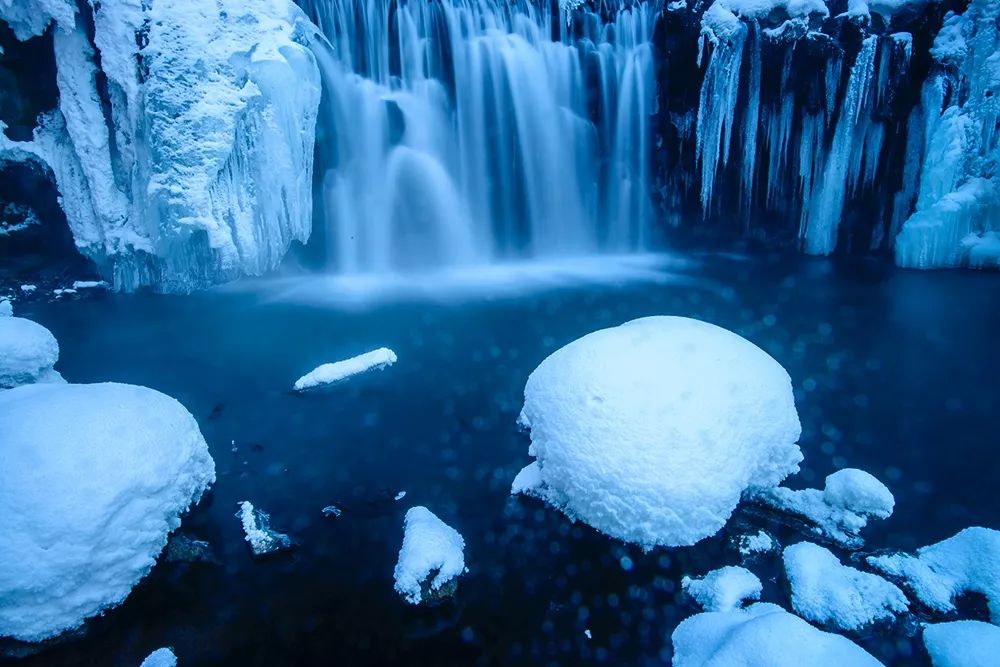 大个头大智慧,大脑门子大智慧