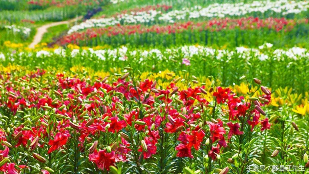 女朋友和老婆的定义是什么,女朋友和老婆的定义