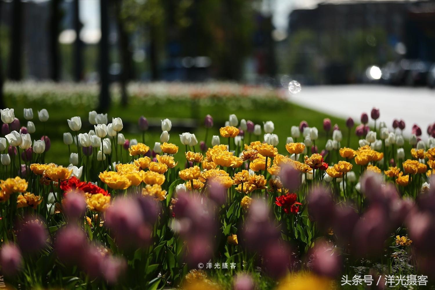 对俄罗斯的刻板印象,莫斯科对于俄罗斯人意味着什么