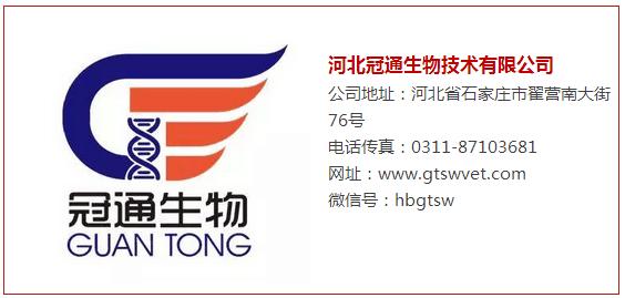 家禽会引起鼻炎吗,鸡鼻炎可以用青霉素吗