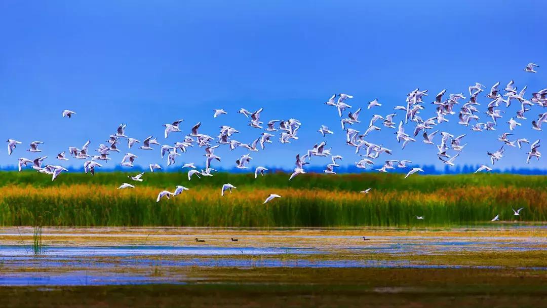 嗨起来五一游玩,必去的13个免费景区