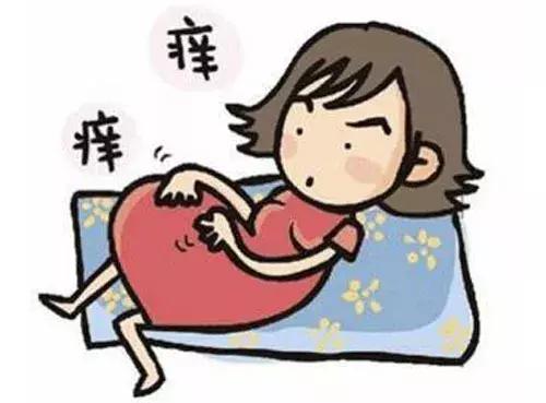 妊娠期胆汁淤积为何会引起瘙痒,妊娠期肝内胆汁淤积是怎么引起的