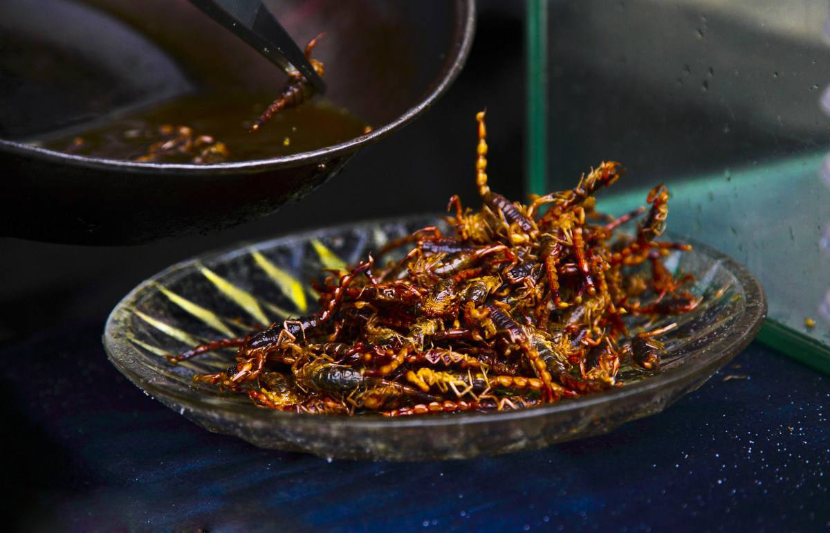 农村的虫子都有哪些,农村常吃的十种虫子