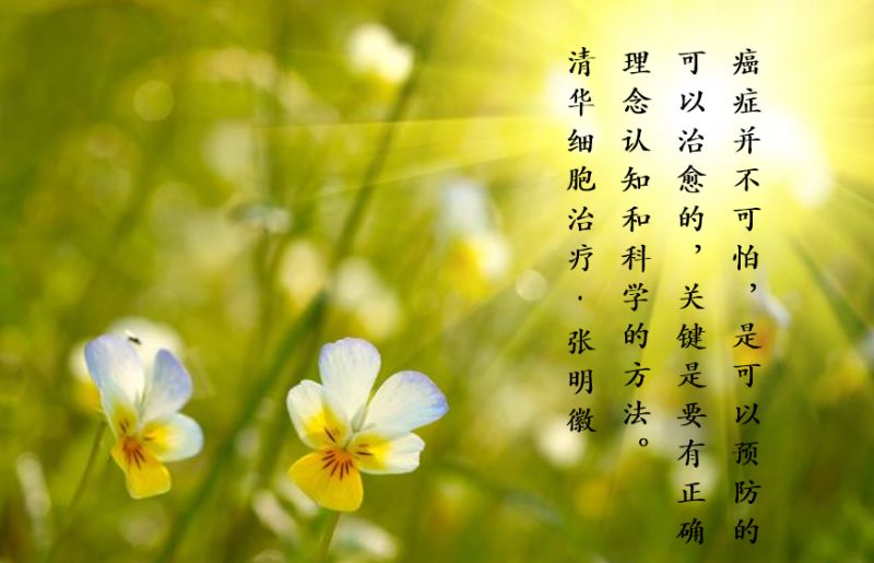 子宫内膜癌nccn指南解读,2020子宫内膜癌nccn指南