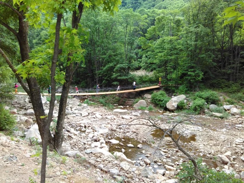 抚顺猴石公园旅游攻略有哪些,抚顺新宾猴石森林公园天气预报