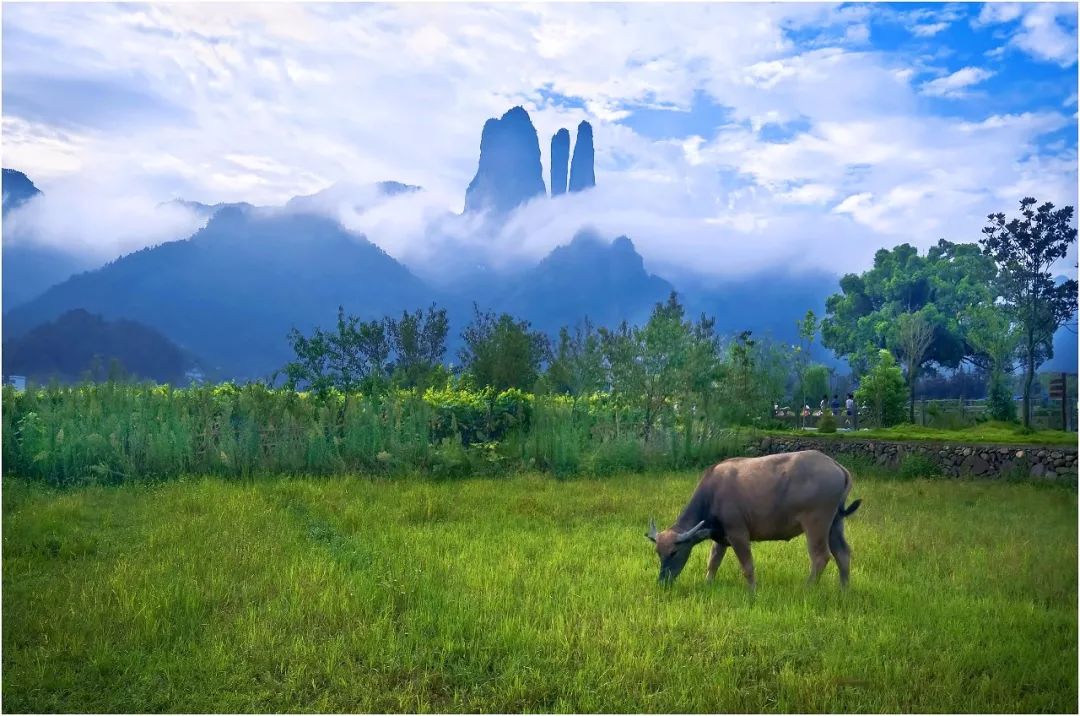 中国旅游日对哪些景点免门票,中国旅游日和国际旅游日免票吗