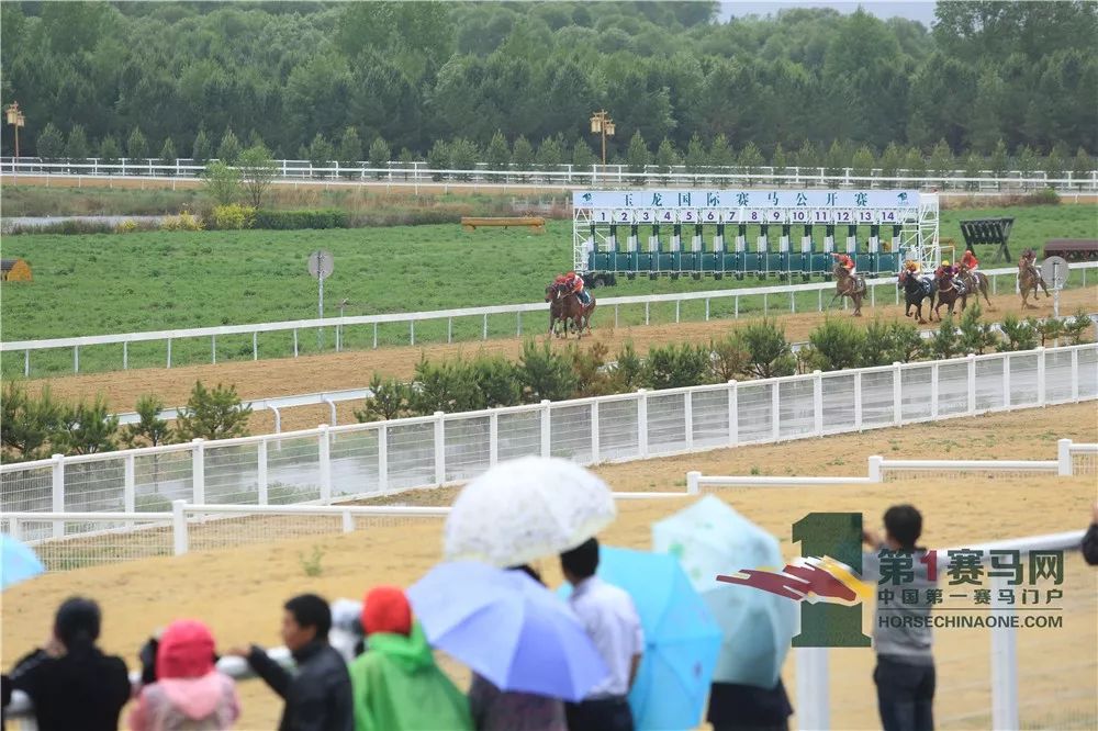 「现场」玉龙今日开锣赛，各路诸侯鏖战百万奖金！马主李勇夺最高奖金，“吉祥如意”马主王福军首战载誉归——1赛马网