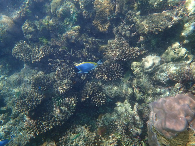 马代有毒，去过就停不下来~马尔代夫奥臻岛ozen