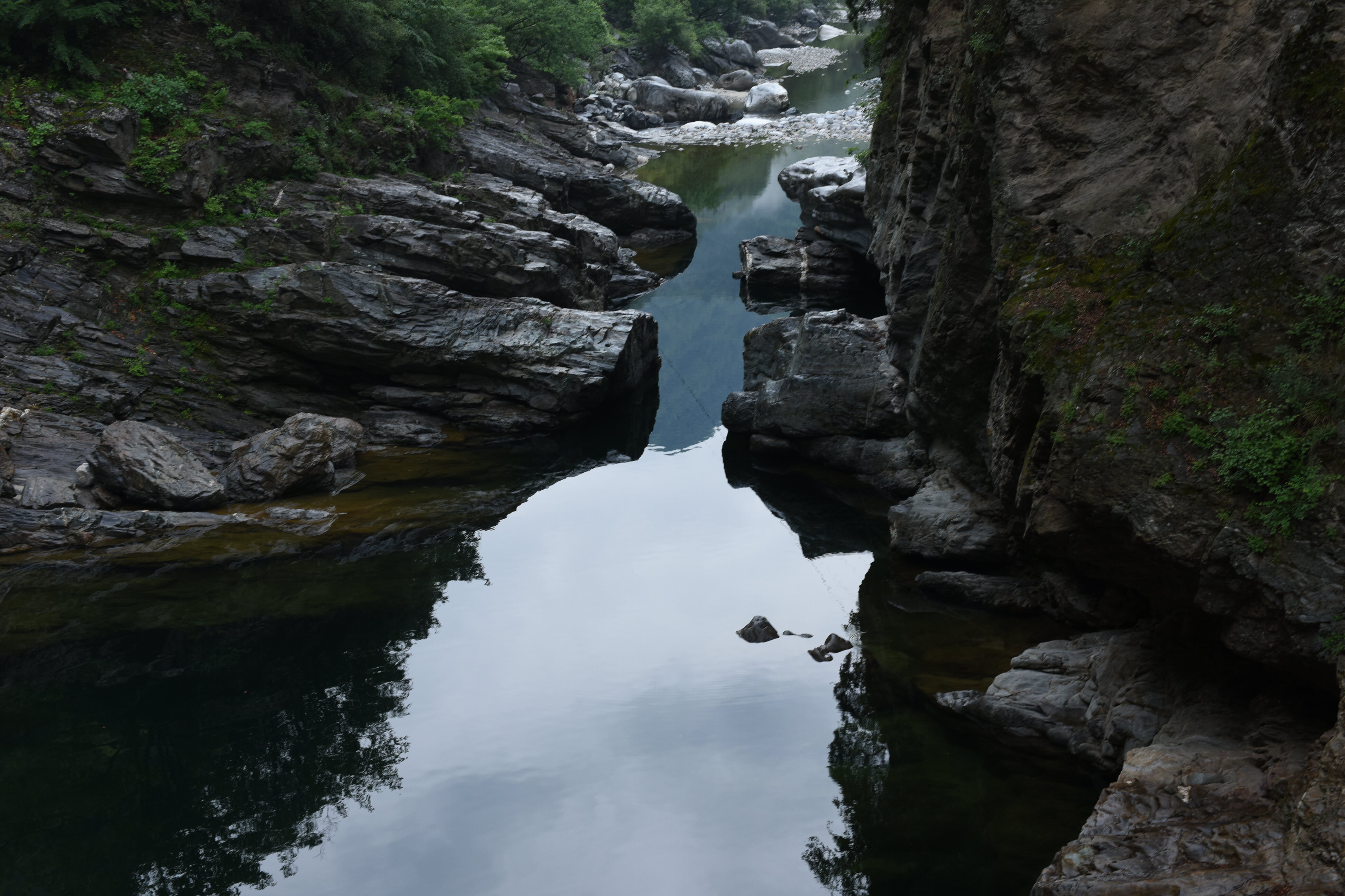 苏轼宁可食无肉全诗朗诵,苏轼夜饮东坡醉复醒