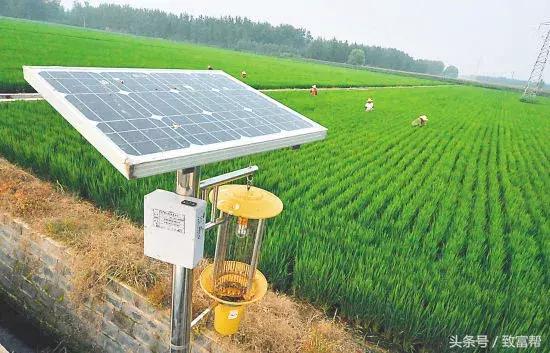 酵素替代化肥技术,酵素代替农药化肥有哪些品牌