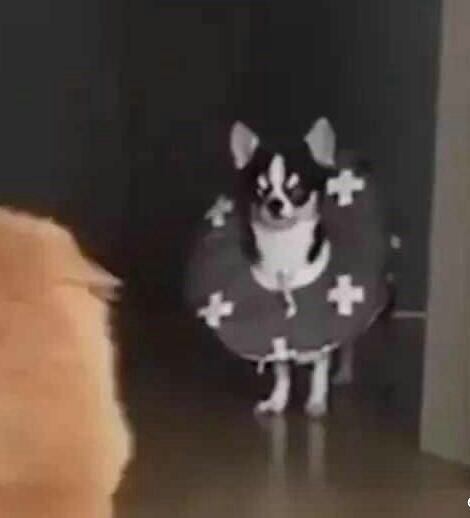 儿童报警求助知识,孩子报警求助教科书