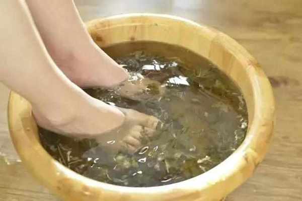 艾草怎么入药好吃呢,艾草夏天有妙用既是药材也是食材