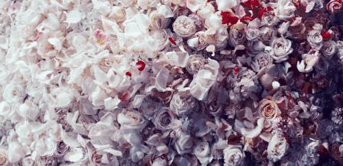 小众好闻淡香香水推荐,十大公认最好闻的小样香水