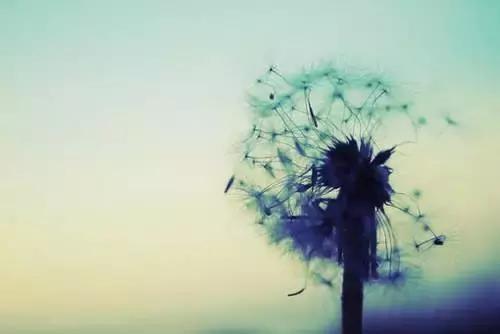 手上的红绳断了,红绳戴久了会断吗