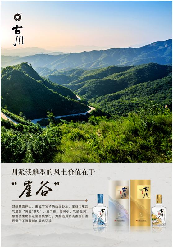 古川淡雅什么价,古川淡雅典范价格表