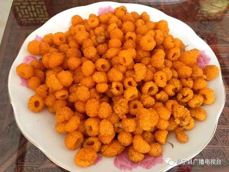 无刺黄泡采摘园昌宁,昌宁摘黄泡的地方