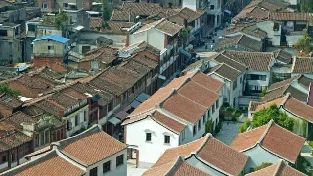 踏青攻略请收好,踏青出游时请收好这份指南