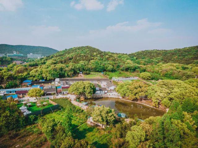 雪浪山花海几步之遥，藏着一个可骑马飚车还风景如画的山庄