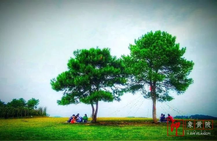 黄陂好景何处觅，火塔公路几十里