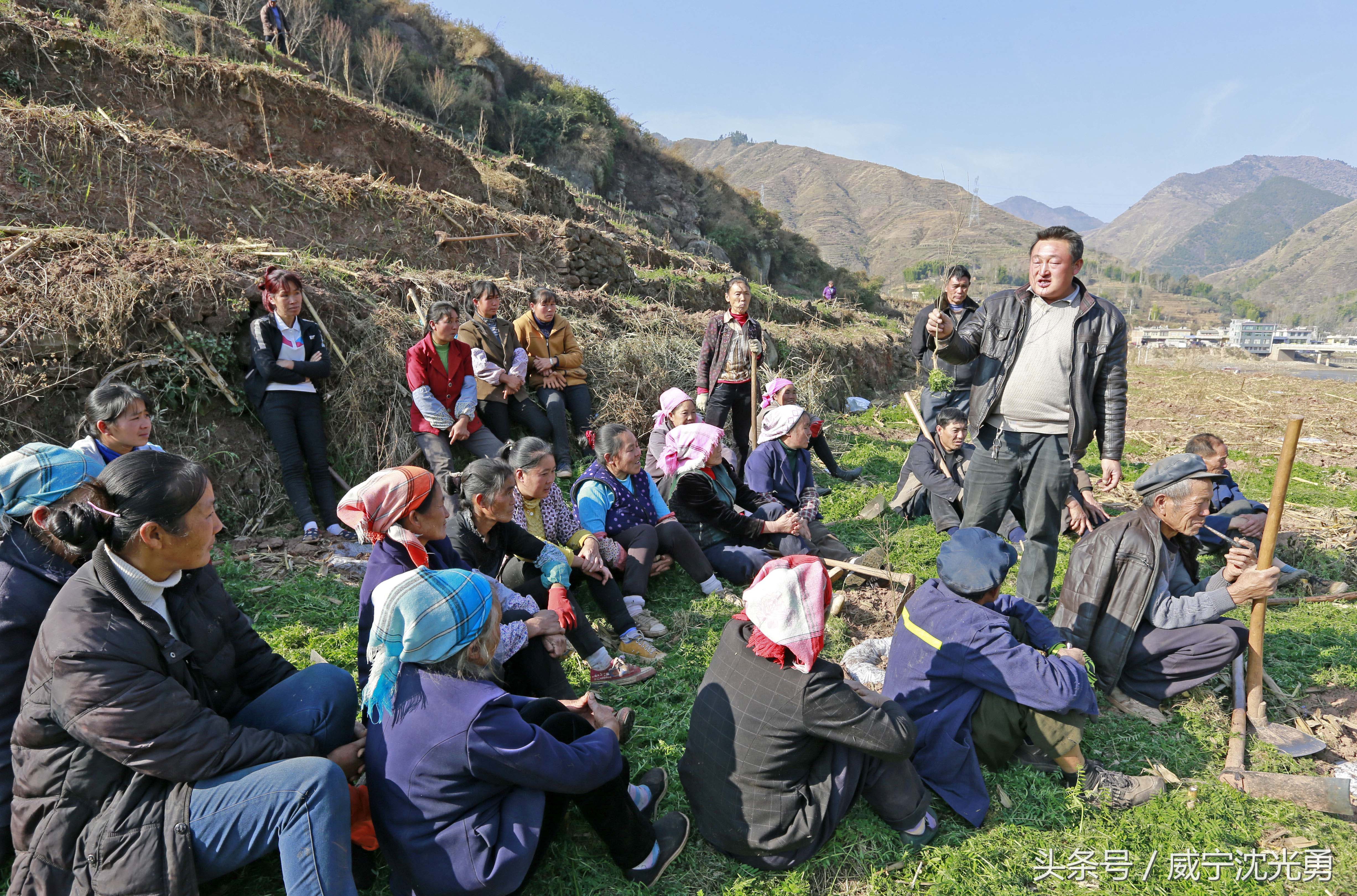 会理青皮软籽石榴种植技术,软籽石榴种植致富案例
