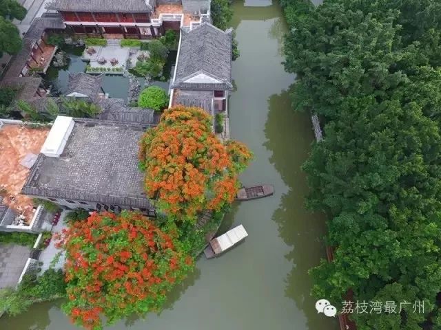 南国有嘉木的下一句是什么,南国有嘉木出处