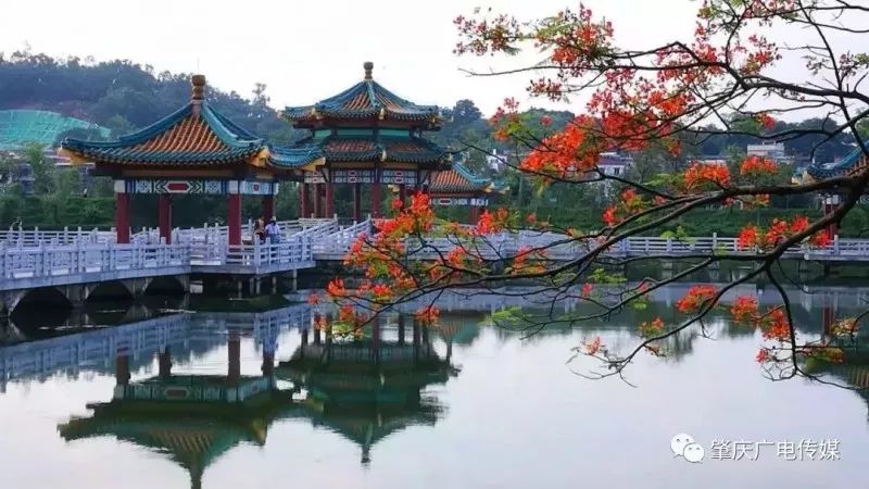 南国有嘉木的下一句是什么,南国有嘉木出处