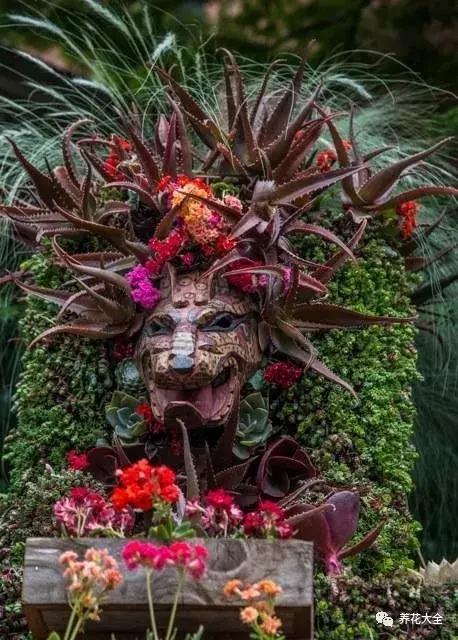 老外私家花园景观,国外多肉花园