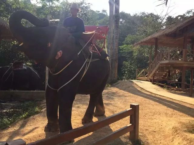 甲米亲子游全攻略,普吉曼谷亲子游