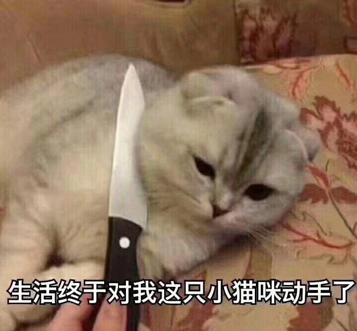 愿你善良自带锋芒温柔且有力量,愿你温柔而坚强善良且有锋芒