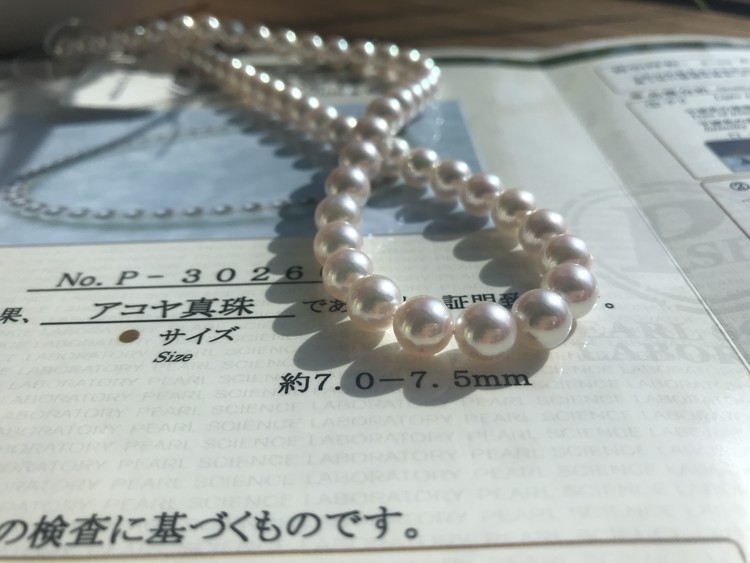 日本akoya有黑珍珠吗,akoya海水珍珠糖果