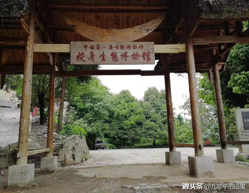 失恋博物馆、珠算博物馆···在*今条头日**上尽情领略博物馆之美