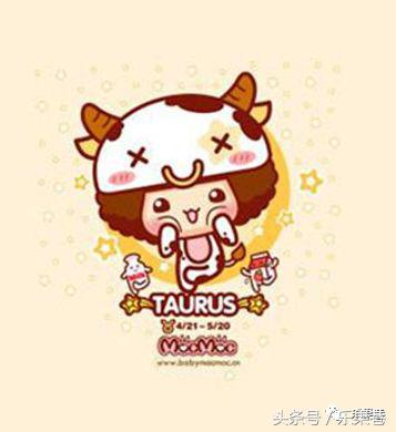 十二星座“老婆使用前须知手册说明书”