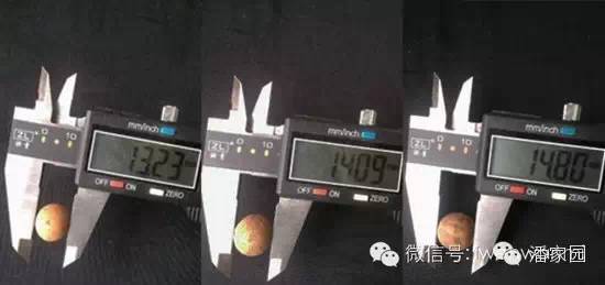 龙眼麒麟眼凤眼怎么分,凤眼龙眼麒麟眼的区别图