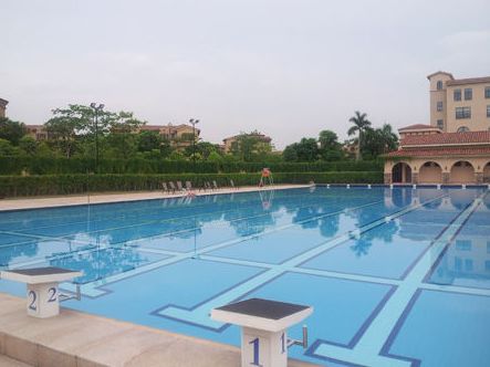 热浪湾沙滩海滨泳场,世界人气最旺海滩泳场