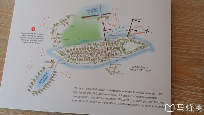 蜜月之都马尔代夫,蜜月旅行之马尔代夫