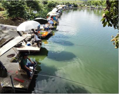 南宁好玩赛车的地方有哪些,南宁哪个大型赛车场好玩