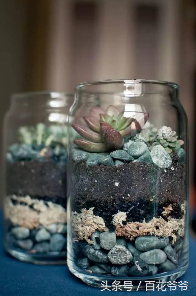 把瓶子变废为宝种花,玻璃瓶子变花盆怎么变废为宝