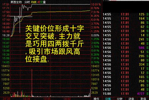 一位老股民血的教训,一位老股民血亏百万的滴血觉醒