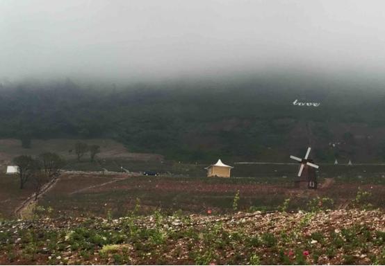 中国薰衣草庄园怎么样,薰衣草庄园到底怎么样