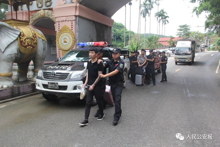 剁手党的注意事项,剁手党请注意网购骗局需警惕