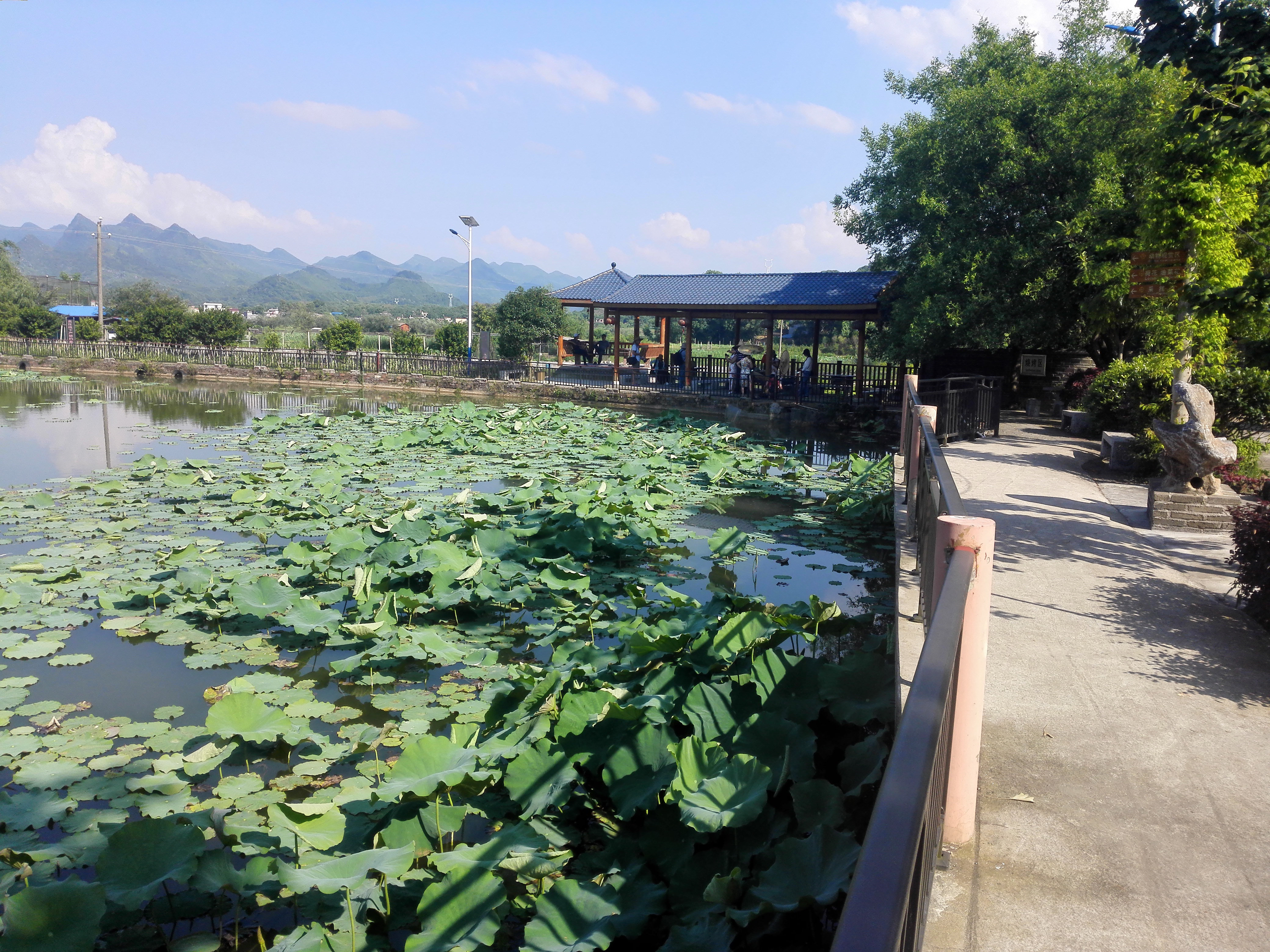 广西全州农庄排名,广西全州县绕村绿岛生态农庄