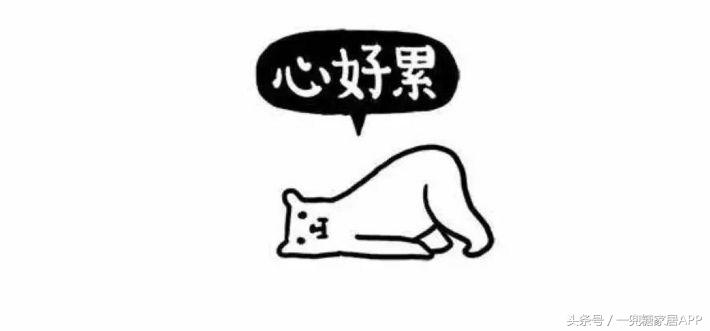 网易严选、小米有品、海澜优选这群杠精……MUJI看了想买辟邪紫水晶