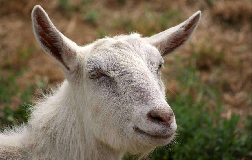 乙肝知识100条,乙肝的十大认识深度解析