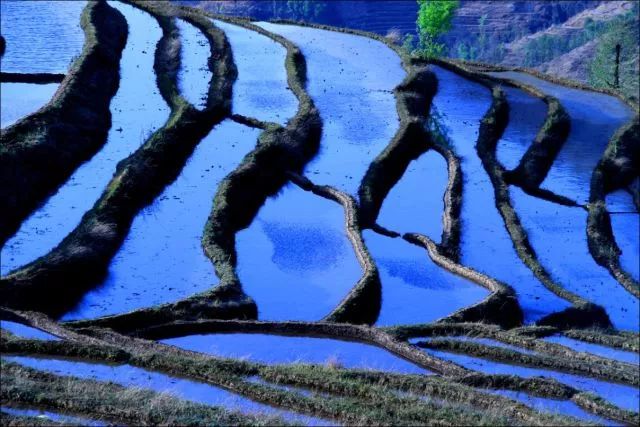 攀枝花市周边清凉避暑去哪里最好,夏季攀枝花旅游景点打卡推荐