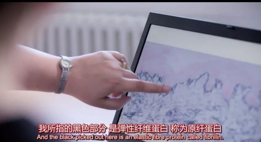 3千元一瓶的面霜,也未必让人青春永驻?BBC揭开护肤背后的真相