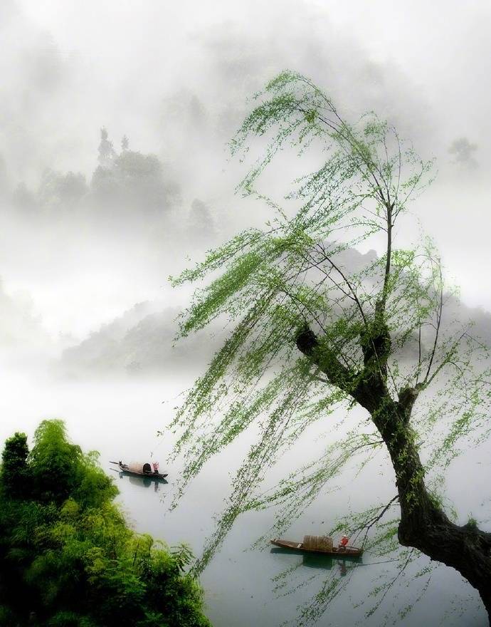 关于春天古诗词鉴赏和赏析,描写春天的古诗词名句精选