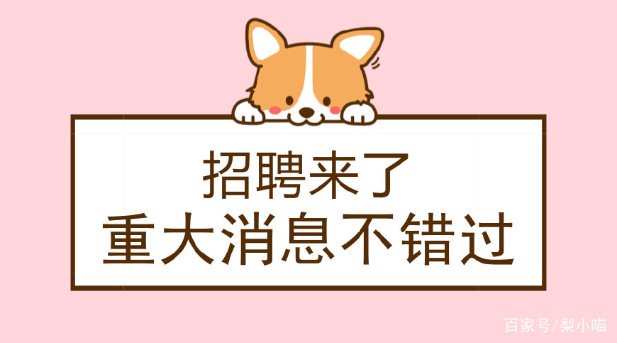 陕西信合招聘网最新招聘预测,2020陕西信合公开招聘