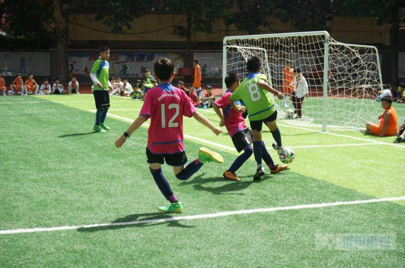 足球要从娃娃抓起图片,足球就要从小抓起