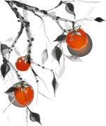 小米智能电视l32m5-ec,小米l55m-ec电视机底座