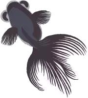 以案说法｜远离*球赌**，莫让世界杯变成“世界悲”